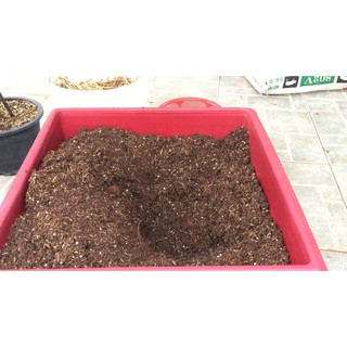 Mụn xơ dừa trồng cây, cải tạo đất (bao)