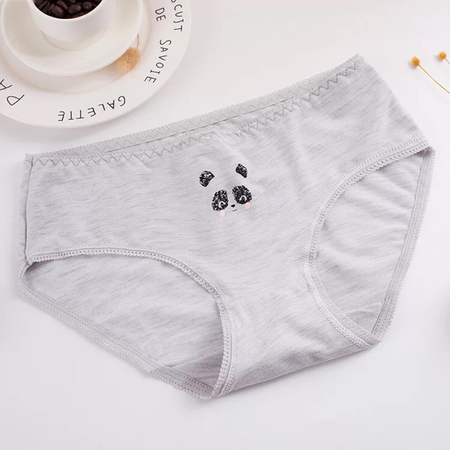 HỘP 04 QUẦN LÓT COTTON CHẤT ĐẸP (QL0024) | BigBuy360 - bigbuy360.vn