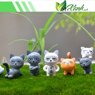Phụ kiện trang trí Mèo cau có
