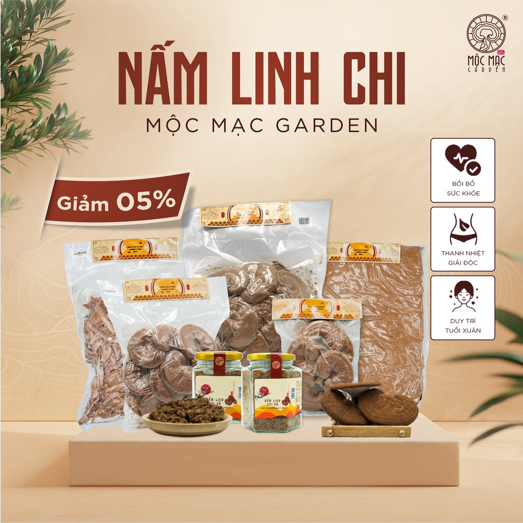 Hộp Nấm Linh Chi Xay nhuyễn thượng hạng