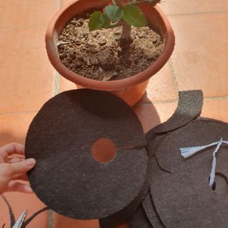 [PWL SUPPORT] TẤM PHỦ ĐẤT CHO CHẬU CÂY ĐƠN GIÁ CHO 1 CHIẾC