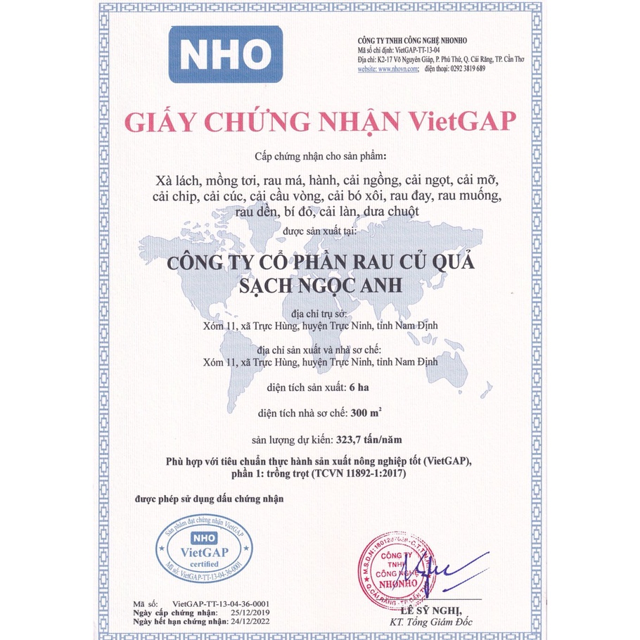 Bột diếp cá sấy lạnh nguyên chất giúp thanh nhiệt giải độc mát gan Nhất Tâm Trà