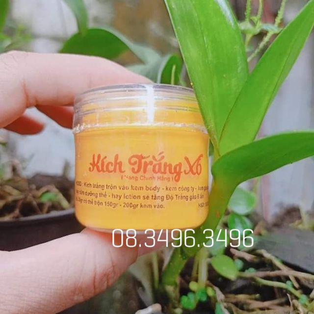 Kích trắng x6