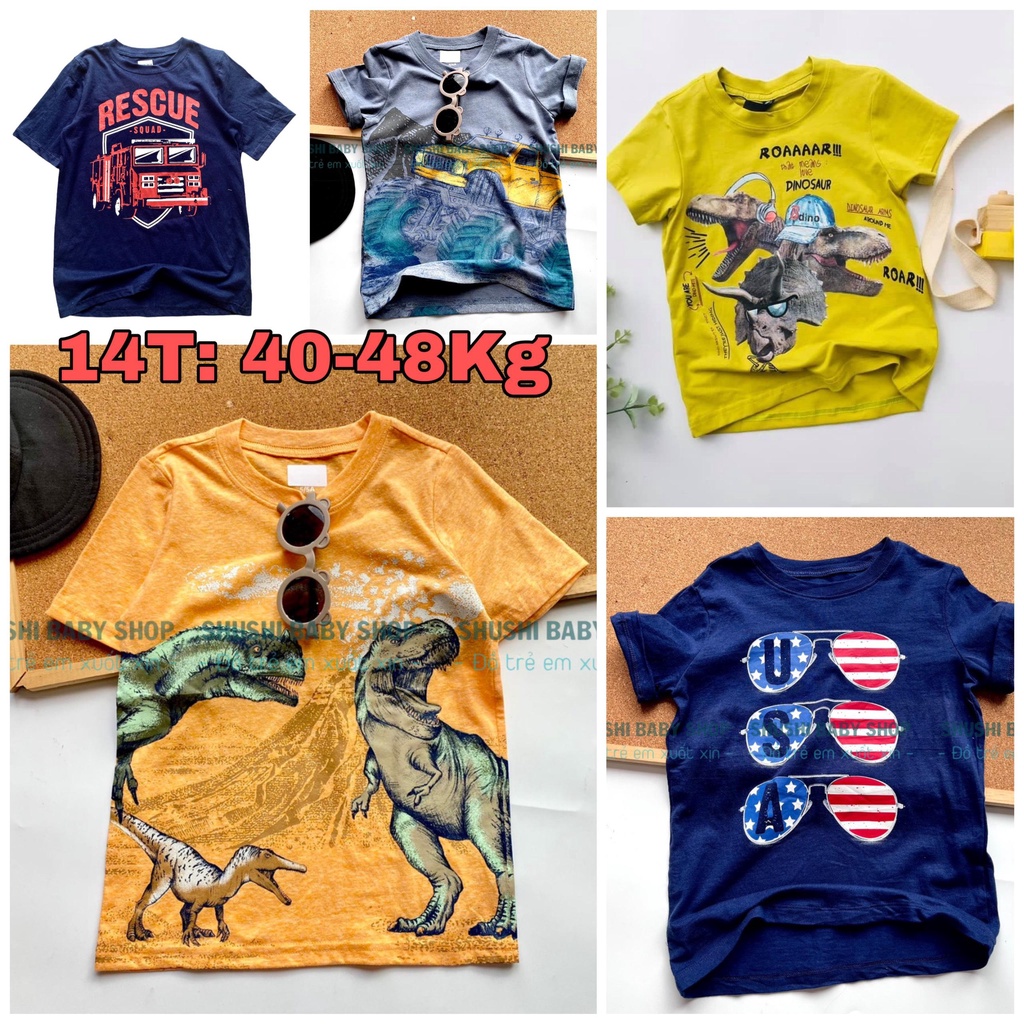 Áo thun cổ tròn cộc tay bé trai hàng xuất dư xuất xịn nhiều màu hình in sắc nét Shushibaby