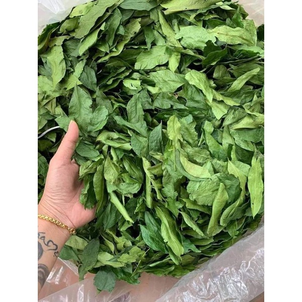 1kg Lá Mắc Mật Khô Lạng Sơn