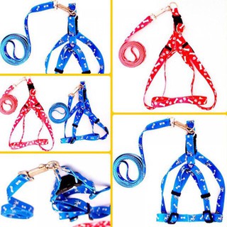 Dây dắt chó mèo con dưới 5kg