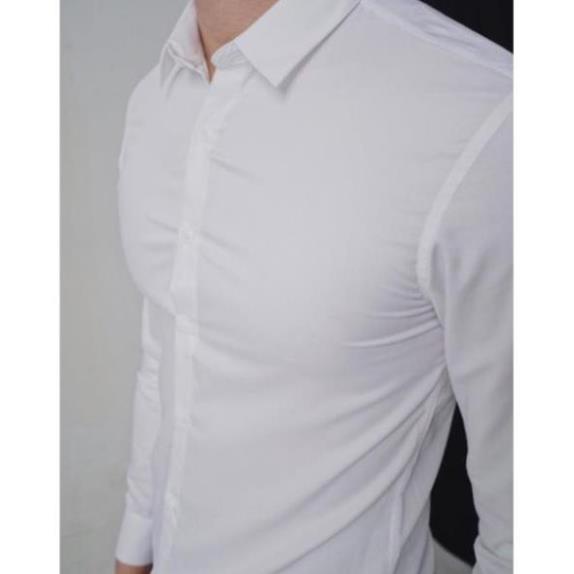 SƠ MI TRẮNG BODY [Cao cấp]