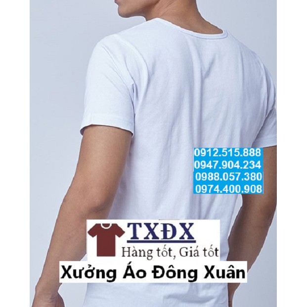 Áo có tay dệt kim đông xuân nam 100% cotton, sỉ call, zalo