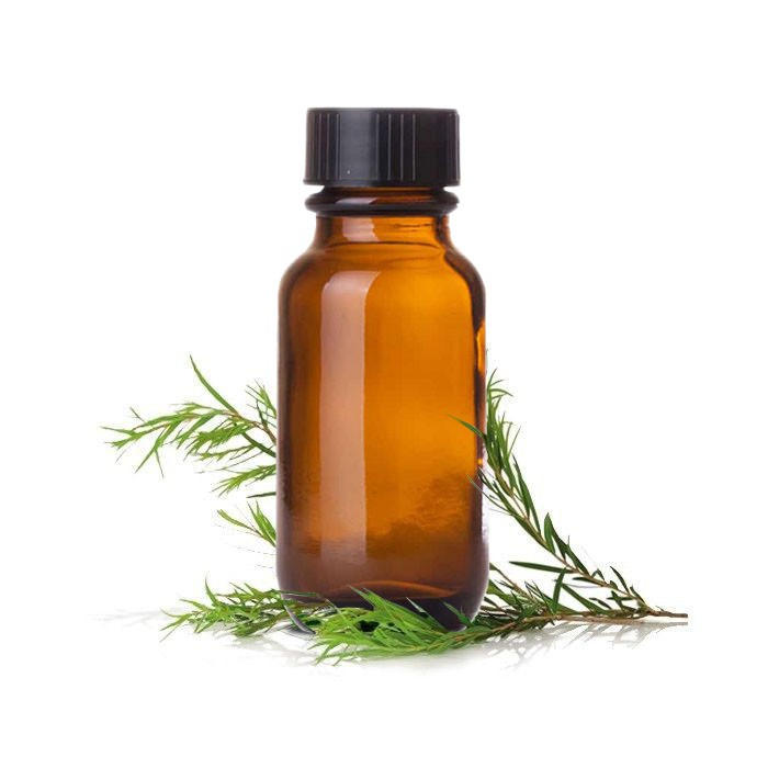 Tinh dầu tràm trà nguyên chất ( Tea Tree Essential Oil ) GUTY