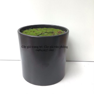 Com bo  chậu trụ gốm và kệ gỗ