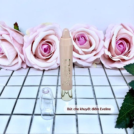 Bút Che Khuyết Điểm Eveline Professional Make-Up Chính Hãng Nga