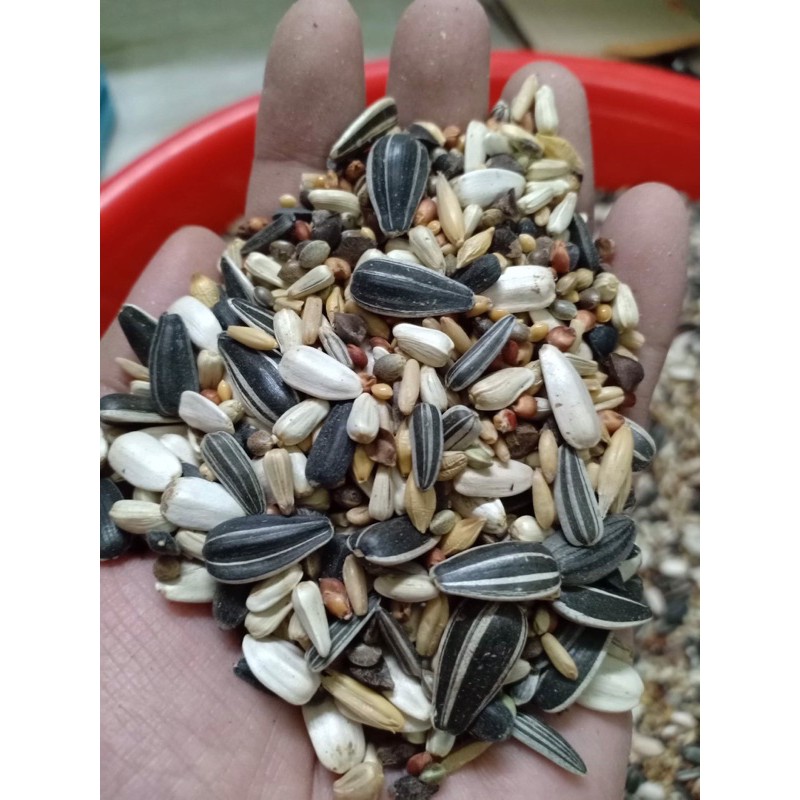 Hạt trộn vẹt trung 1kg.