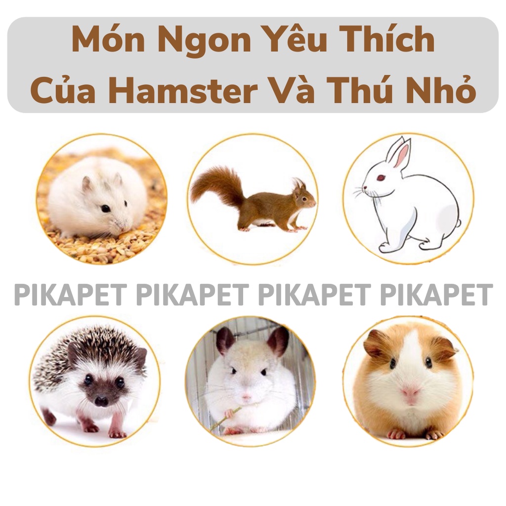 ✅Sâu khô cho hamster(Chai nhỏ)