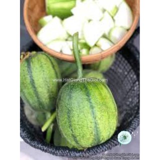 10GR 110.HẠT Hạt Giống Mướp Táo (| C41)