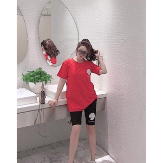 Bộ lửng hoa cúc siêu êu
