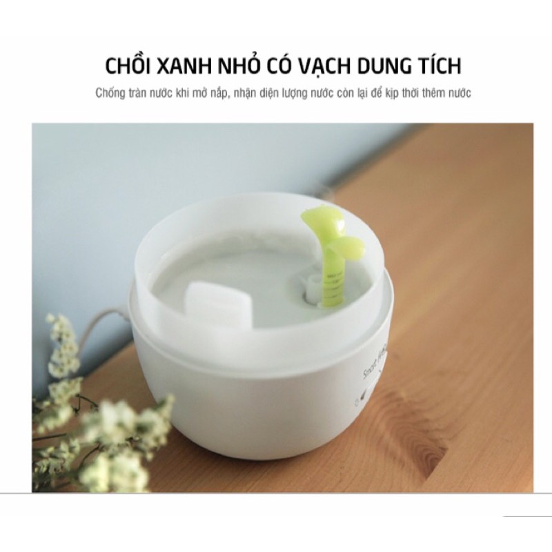 [LOCK&amp;LOCK] MÁY KHUYẾT TÁN TINH DẦU - ENH221CLR