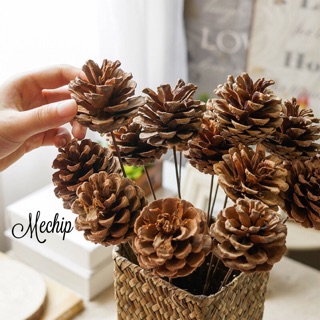 [ HÀNG CÓ SẴN ] 🌰Quả thông khô cắm lọ hoa🌰