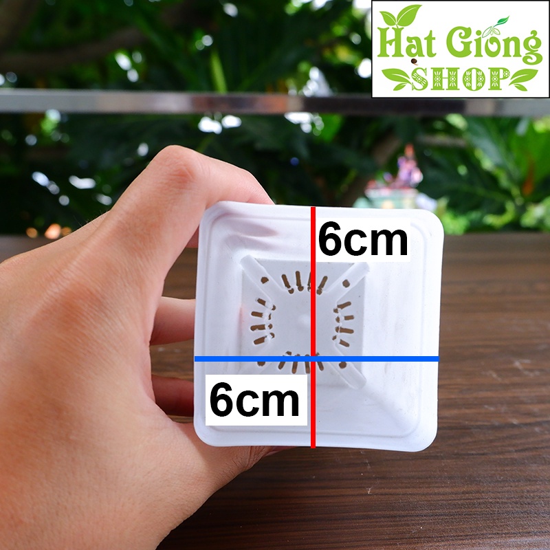 Chậu nhựa mini vuông