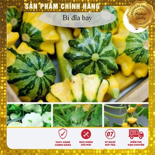 COMBO 5 gói hạt giống bí đĩa bay TẶNG 1 phân bón