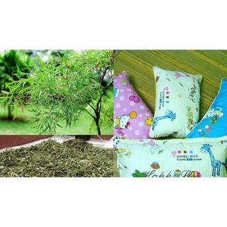Gối đinh lăng chống đổ mồ hôi