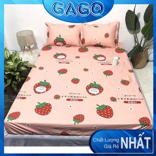 Ga gối poly, bộ ga gối drap giường, set 1 ga giường + 2 vỏ gối dâu tây Gago
