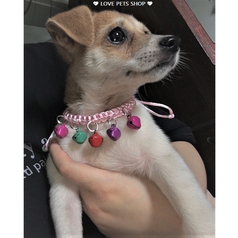 VÒNG CỔ CHO CHÓ MÈO NHỎ CÓ NHIỀU CHUÔNG &quot;MẪU MỚI&quot; - LOVE PETS SHOP