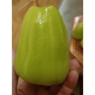 Mận đường xanh bến tre