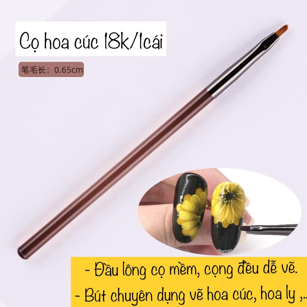 Cọ hoa cúc
