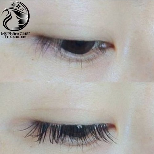 Dưỡng Mi Và Lông Mày Dài Rậm Gel Dưỡng Mi Chuốt Mi Mascara Dầu Dừa Nguyên Chất 100%