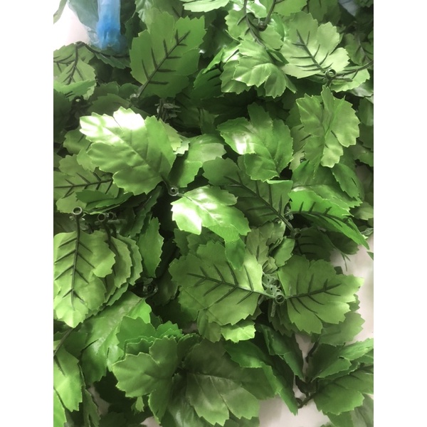 Lá cúc nhựa