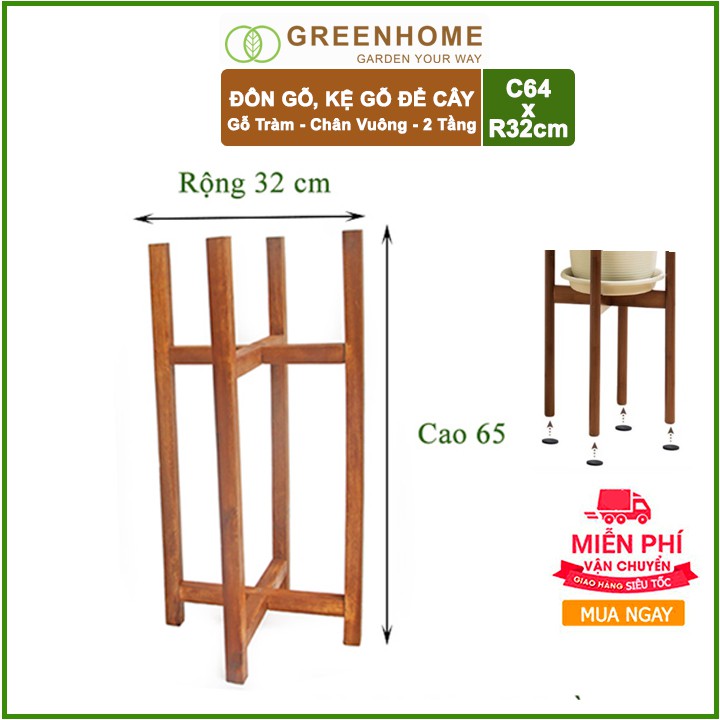[FREESHIP 70K] Đôn gỗ, kệ kê chậu cây nội thất 2 tầng bằng gỗ Tràm C64x32cm 🎁Tặng kèm dĩa lót D27cm🎁 | BigBuy360 - bigbuy360.vn