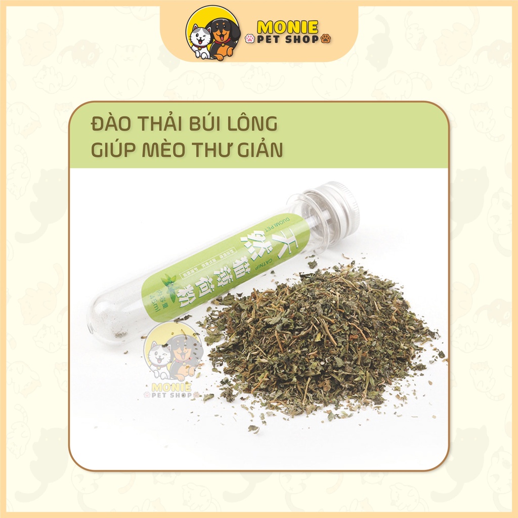 [Hoả tốc] Catnip cỏ bạc hà cho mèo ống 45ml