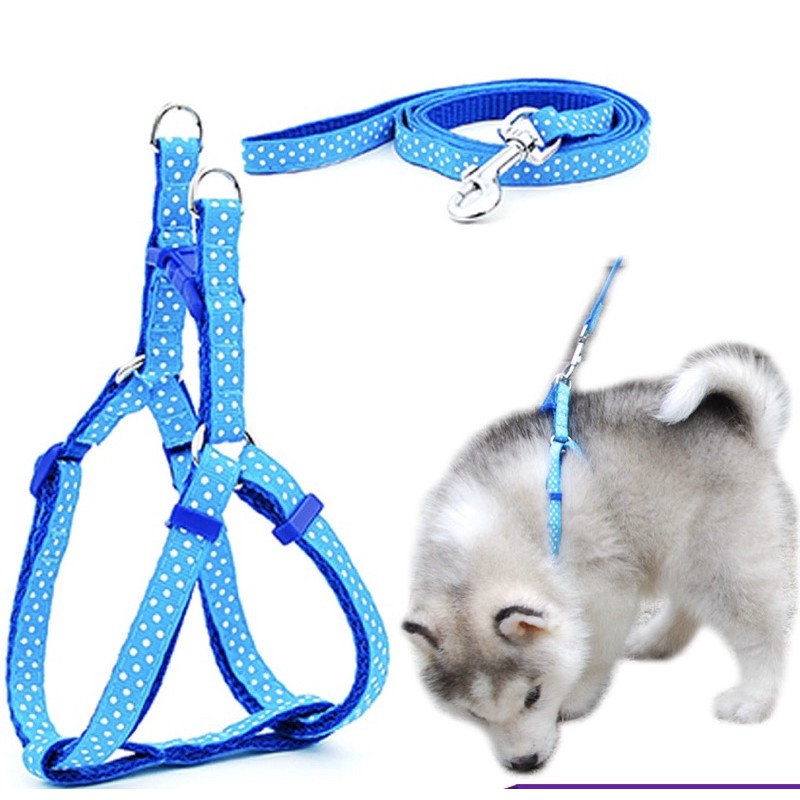 Dây dắt kèm yếm 1cm dành cho thú cưng, Dây dắt kèm yếm sắc màu LaLi petfashion