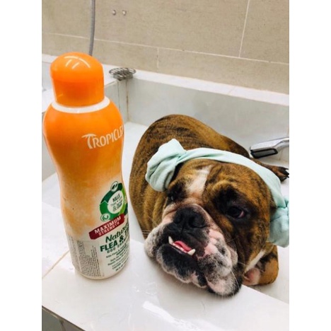 Sữa Tắm Trị Ve Bọ Chét TropiClean An Toàn 100% Thiên Nhiên