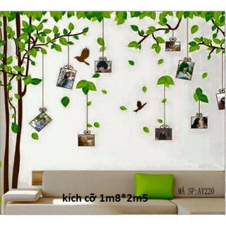 Decal dán tường cây khung ảnh trang trí phòng