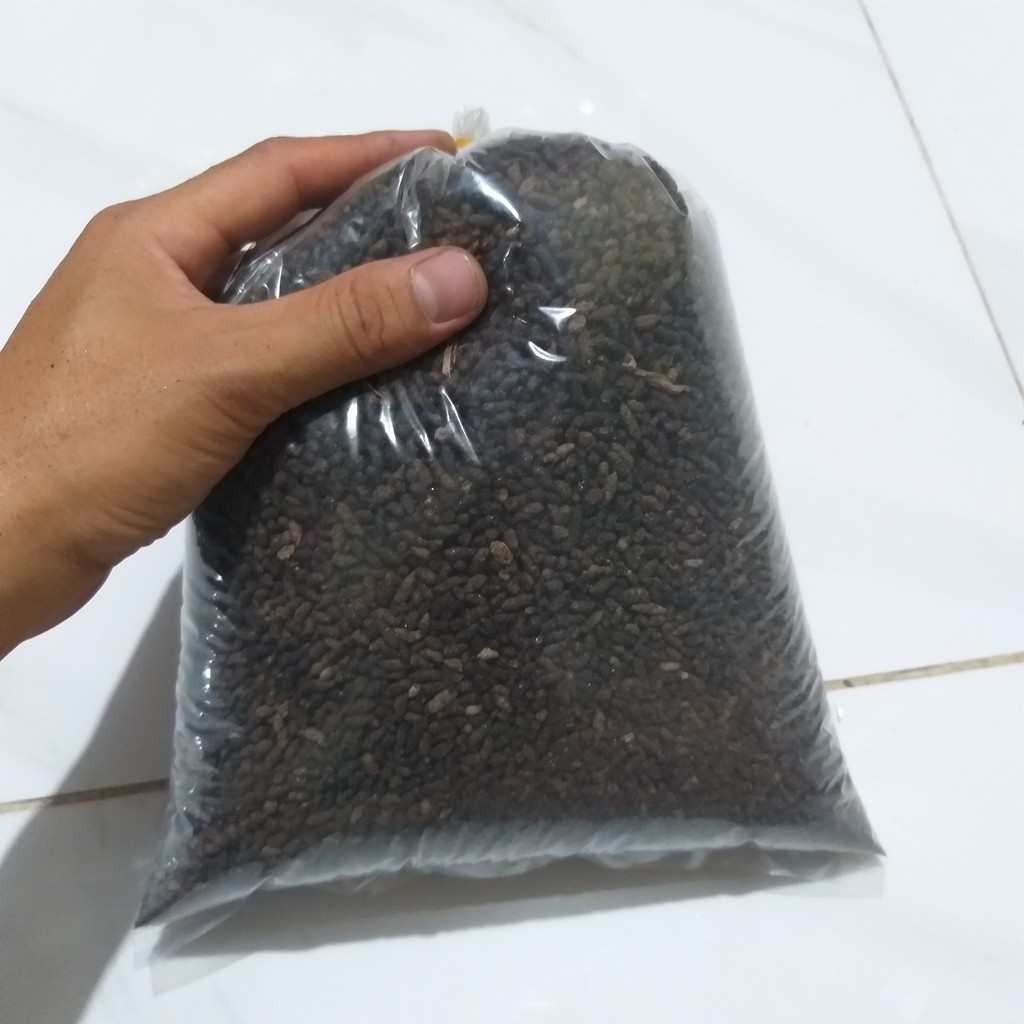 500g Phân dơi nguyên chất