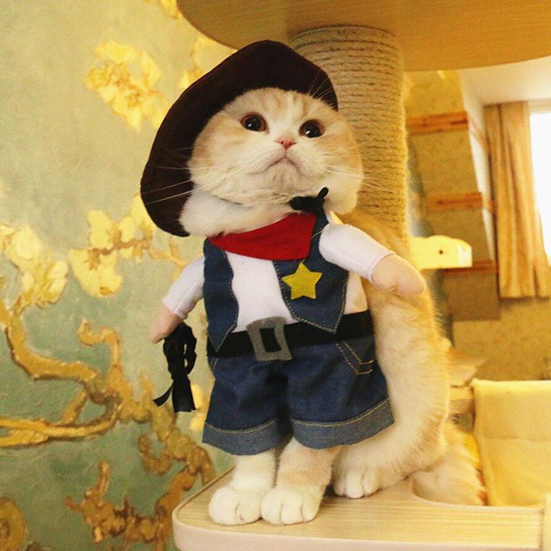 Bộ Áo Liền Quần Hóa Trang Cướp Biển Hoạt Hình Dễ Thương Cho Chó Mèo