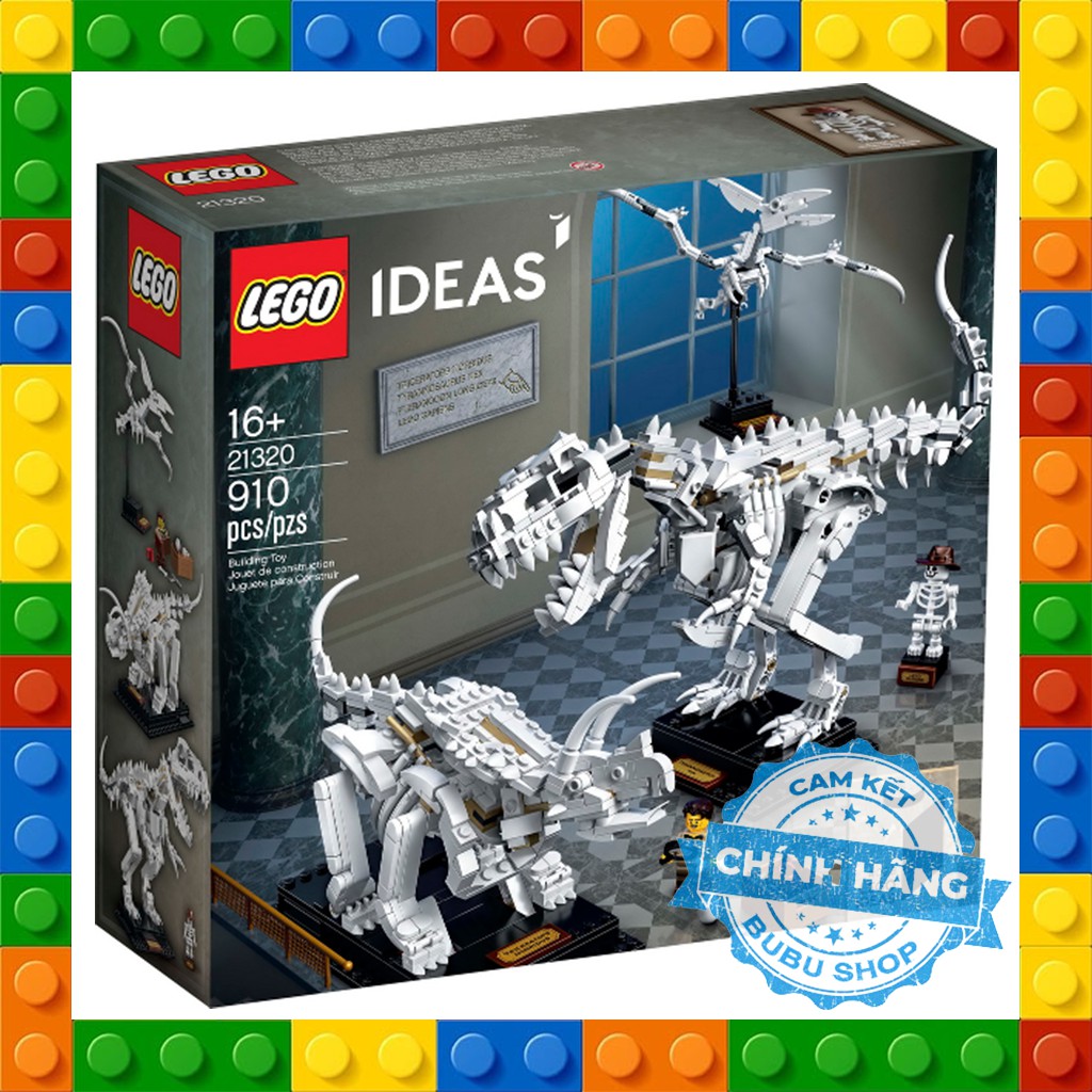 Lego Ideas 21320 - Dinosaur Fossils - Bộ xếp hình Lego Bảo tàng khủng long