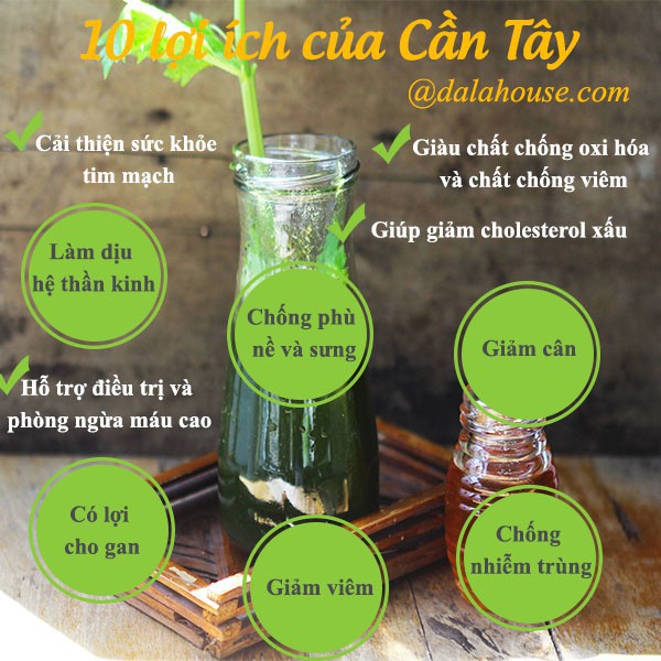 Bột cần tây giảm cân Dalahouse (Túi 300g) giúp giảm cân hiệu quả, cung cấp chất xơ, ổn định tim mạch