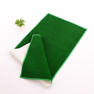 Thảm cỏ nhân tạo carmi kích thước 120x50 cm
