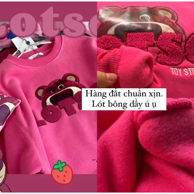 Áo nỉ bông Losto gấu hồng Disney ulzzang