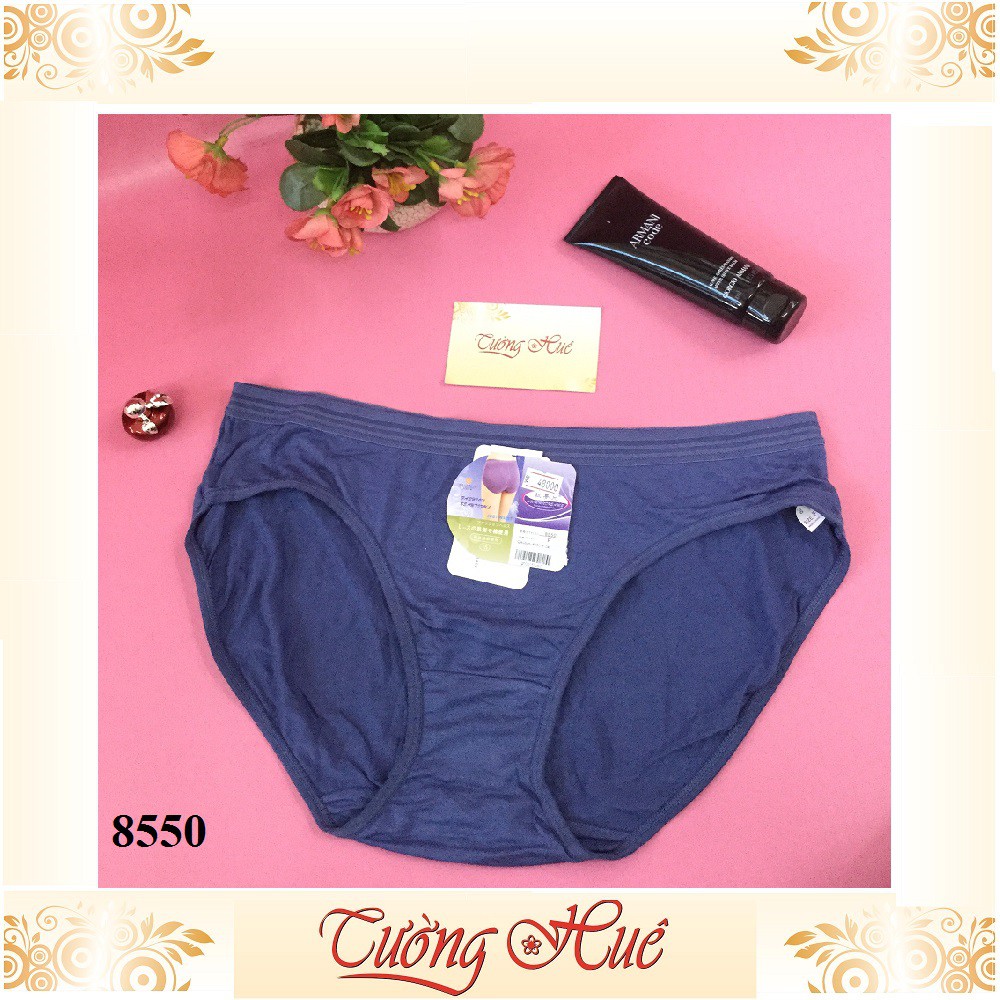 Bộ3 Quần lót nữ Autumndreams 8550 quần lót cỡ lớn với chất liệu từ thiên nhiên MÀU NGẪU NHIÊN.