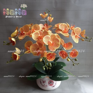 Chậu hoa trang trí lan hồ điệp cắm sẵn