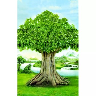 Tranh dán tường VTC- Cây Bồ Đề - Kích thước : 60x100cm
