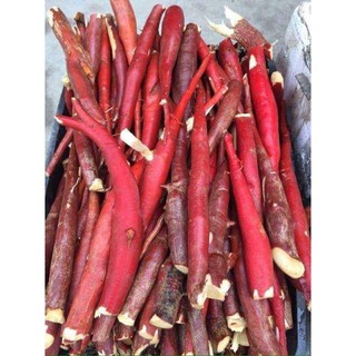 1KG SÂM CAU ĐỎ RỪNG TÂY BẮC