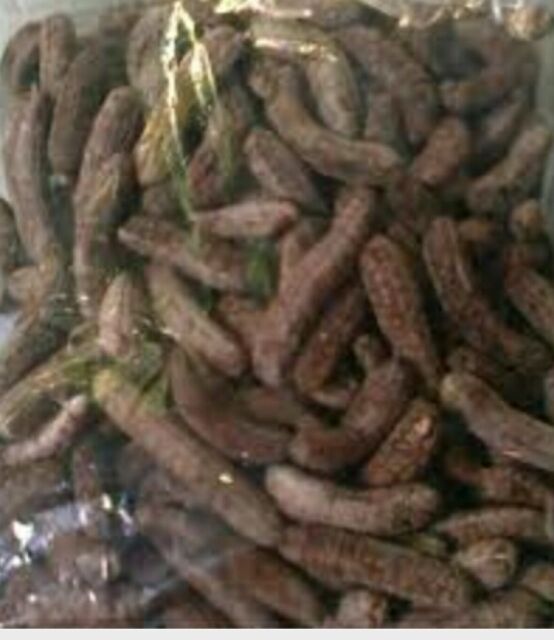 Chuối hột rừng Tây Nguyên(1kg) | BigBuy360 - bigbuy360.vn