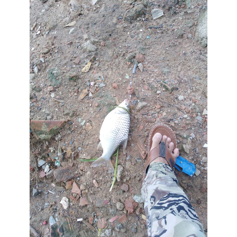 [Cám Tanh]cám tanh nhiều,tanh ít,thơm,Hà Lan,cargill,mỹ-mồi câu cá-gói mồi cám câu cá đã xay sẵn