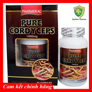Viên uống đông trùng hạ thảo - Pure CordyCeps Lọ 60 Viên
