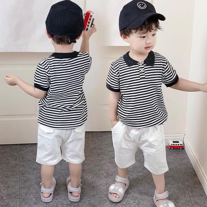 Áo polo kẻ QC loại 1