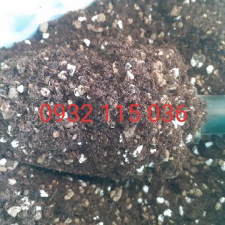 Đất trồng sen đá 500gr
